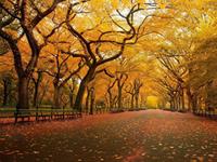 巨蟹座在旅途中会为了什么而停留