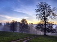 摩羯座在旅途中会为了什么而停留