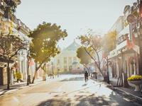 占卜你该如何守护自己的爱情