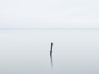 生肖兔一定要远离的伴侣