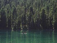 金爱伦2017年2月星座塔罗运势