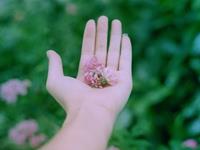 铃兰一周塔罗情感运势（2.7-2.14）