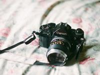 铃兰一周塔罗情感运势（2.15-2.22）