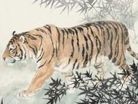 属虎的人2017年多大，属虎的今年多大