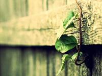 摩羯座的内心世界