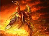 鸡年财运大吉如鱼得水的生肖