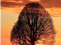 摩羯座如何有个好心情