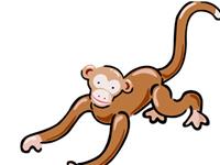 属猴的年份，属猴的出生年份