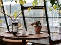 海百合2017年3月星座运势