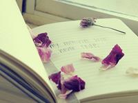 金牛座愤怒起来是啥样