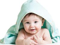 2017年添丁招财进宝的生肖