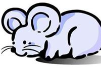 女属鼠的和什么属相最配，属鼠的和什么属相最配