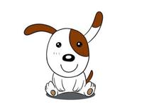 女属狗的和什么属相最配，属狗的和什么属相最配