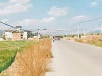 白羊座为什么被黑，黑白羊座