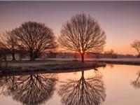 天秤座勤劳指数