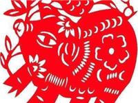 生肖猪最适合做什么工作