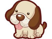 生肖狗的物质观是怎样的