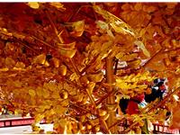 这样修剪发财树，财运才不会断