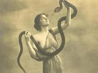 开车不小心压死蛇了怎么办？