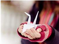 对陌生人会心怀善意的生肖有哪些