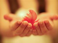 白羊座好说话指数揭秘