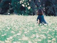 董易林2017年4月生肖运程