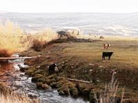 占卜你现在需要怎样的旅行