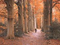 测你会把时间花在什么地方