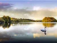 天蝎座放人鸽子的指数有多高