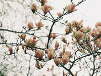 氧气占星2017年4月射手运势