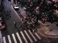 占卜什么才能让你获得满足