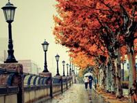 全民揭秘射手座真面目