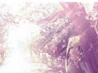 形容往事总是云淡风轻的生肖们