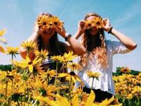 测你是个庸俗的人吗