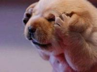 要注意，这些星座容易与舍友产生矛盾