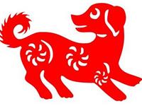 1970年属狗2017年本命佛