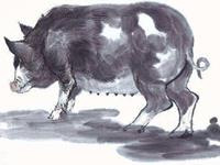 1971年属猪2017年本命佛