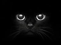 塔罗占卜在别人眼里你是恶魔OR天使？