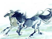 生肖马在荒岛上如何生存