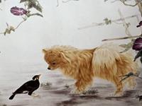 生肖狗在荒岛上如何生存