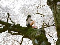 占卜你性格中的缺点