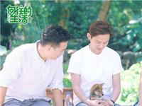 12生肖中，谁最愿意过《向往的生活》