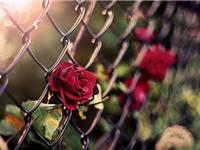 射手座什么时候特大方