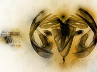 柒爸2017年5月白羊座运势