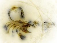 柒爸2017年5月天蝎座运势