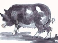 生肖猪2017年5月财气运势