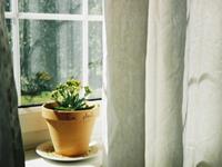 苏珊米勒2017年5月处女座运势