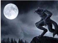 十二生肖谁最喜欢玩狼人杀