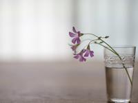 玛法达2017年5月星座财富运势