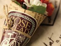 没有了爱情，依旧可以靠面包维持关系的星座